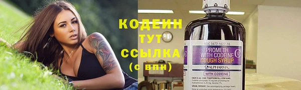 прущие крисы Алзамай