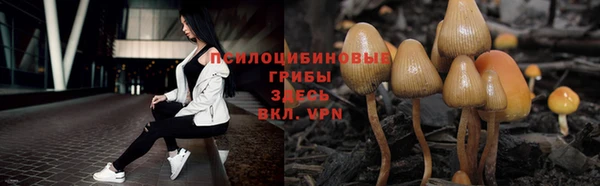 прущие крисы Алзамай
