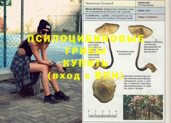 Альфа ПВП Алексин