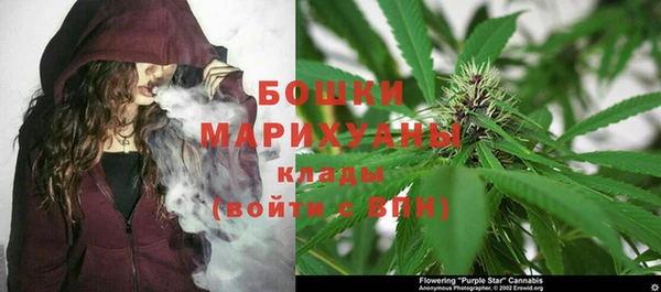 ALPHA-PVP Новозыбков